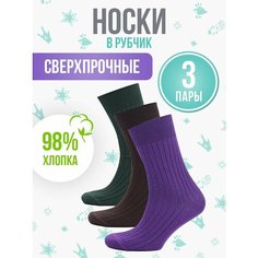 Носки Big Bang Socks Рубчик, комплект, 3 пары, размер 40-44, коричневый, фиолетовый, зеленый