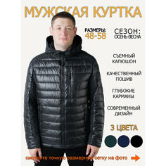 Куртка , размер 54, чёрный
