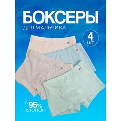Трусы WS, 4 шт., размер 3XL, голубой
