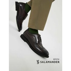 Полуботинки броги Salamander, размер 39, темно-коричневый