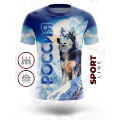 Футболка Evofox, размер 5XL, синий, белый
