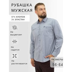 Рубашка , размер 8XL, синий/белый/голубой Bosman Big