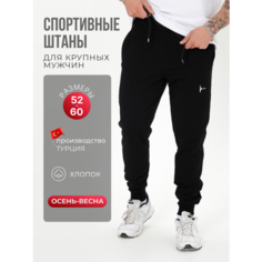Брюки спортивные ING DROP Спортивные штаны 58 размер, размер 5XL, черный 100