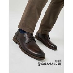 Полуботинки Salamander, размер 43, темно-коричневый