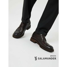 Полуботинки дерби Salamander, размер 40, темно-коричневый