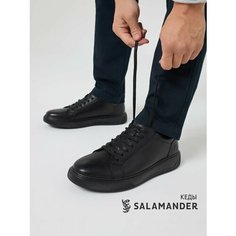 Кеды Salamander, полнота 6 (RU)/ на среднюю стопу, размер 40, черный