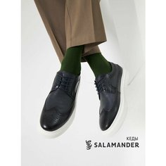 Кеды Salamander, полнота 6 (RU)/ на среднюю стопу, размер 41, темно-синий