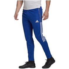 Брюки спортивные adidas, размер XL, синий