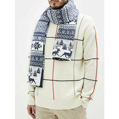 Шарф Сиринга,200х33 см, универсальный, белый, голубой, синий