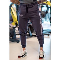Брюки джоггеры Inferno Style Брюки Классика с вышивкой INFERNO style Б-001-003, размер M, темно-серый