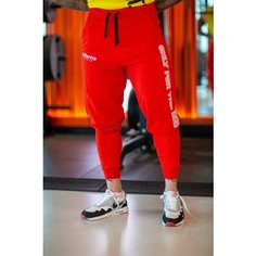 Брюки джоггеры Inferno Style Брюки Классика с вышивкой INFERNO style Б-001-003, размер S, красный