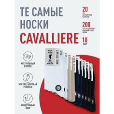 Носки RuSocks, комплект, 10 пар, размер 29, микс 3