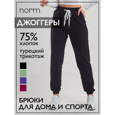 Брюки спортивные Norm джоггеры, размер 42-44, черный..