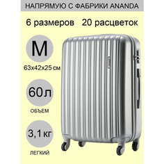 Чемодан ANANDA, 60 л, размер M, серебристый