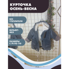 Куртка Снолики, размер 80, серый