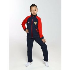 Костюм спортивный WILDWINS, размер 164, темно-синий