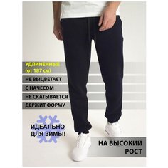 Брюки джоггеры R&K, размер M, темно-синий