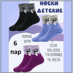 Носки Лариса Базовая коллекция, 6 пар, размер 20-25, , мультиколор
