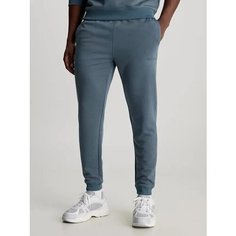 Брюки спортивные Calvin Klein Sport, размер M, синий