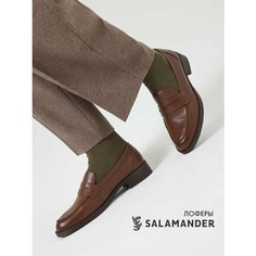 Лоферы Salamander, размер 36, коричневый