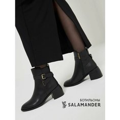 Ботильоны Salamander, размер 37, черный