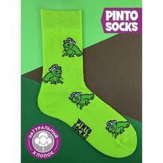 Носки PINTO SOCKS, размер 41-45, зеленый
