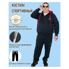 Костюм спортивный , размер 66, красный/синий Bosman Big