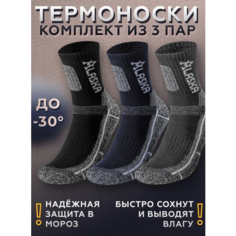 Термоноски Tender, комплект, 3 пары, размер 40-46, серый