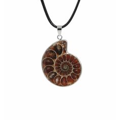 Колье SILVARIE, ракушка, коричневый