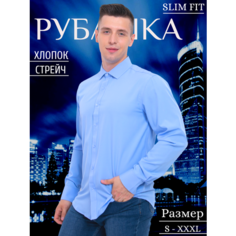 Рубашка Palmary Leading, размер 48, blue