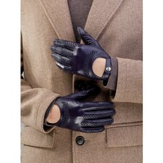 Перчатки ELEGANZZA, размер 9, navy