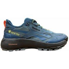 Кроссовки Reebok DMX Trail GTX, полнота F (EU)/ на среднюю стопу, размер 7 US, синий/серый/черный