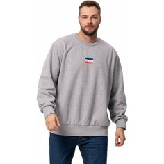 Свитшот Levis Men Standard Graphic Crew, размер L, , серый Levis®