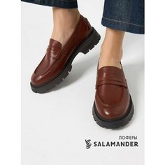 Лоферы Salamander, размер 40, коричневый