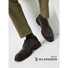 Полуботинки дерби Salamander, размер 39, черный