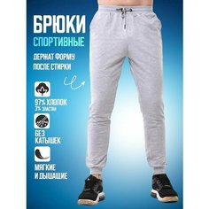 Брюки спортивные , размер 3XL/180 - 52, серый Am Me