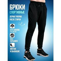 Брюки спортивные , размер 2XL/180 - 50, черный/черный Am Me
