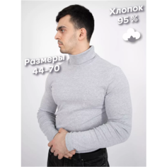 Водолазка Чебоксарский Трикотаж, размер 52/182-188, , серебряный