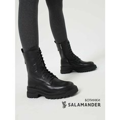Ботинки дерби Salamander, размер 38, черный