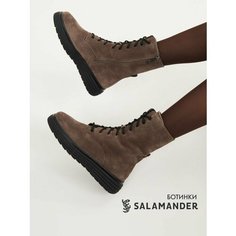 Ботинки дерби Salamander, размер 40, коричневый