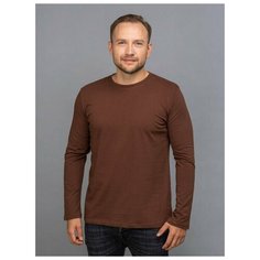 Лонгслив Uzcotton Premium, размер 48-50\L, , шоколад