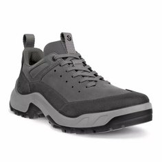 Кроссовки ecco OFFROAD M, полнота F (EU)/ на среднюю стопу, размер 43, серый