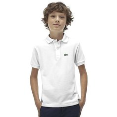 Поло LACOSTE, размер T4A, white
