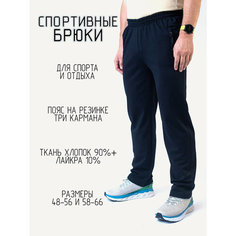 Брюки , размер 64, синий