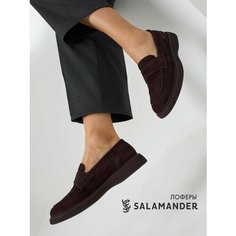 Лоферы Salamander, размер 38, темно-коричневый