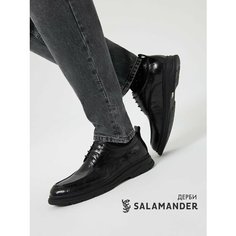 Полуботинки дерби Salamander, размер 42, черный