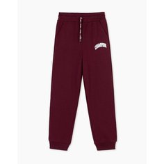 Брюки спортивные Gloria Jeans, размер 5-6л/116 (30), бордовый