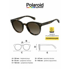 Солнцезащитные очки Polaroid, коричневый
