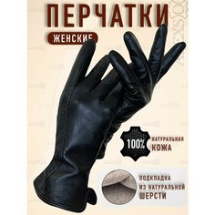 Перчатки ALEXSO Женская коллекция, размер 7, черный