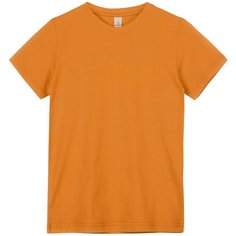 Футболка Happyfox Футболка Happyfox, размер 6 (116), горчица